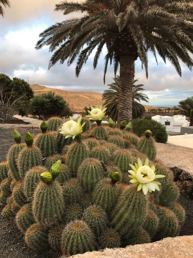 Casa Alegria Lägenhet Los Valles Exteriör bild